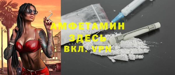 дмт Алексин