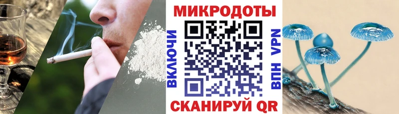 даркнет сайт  Дедовск  Псилоцибиновые грибы Psilocybine cubensis 
